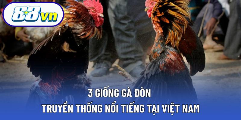 3 giống gà đòn truyền thống nổi tiếng tại Việt Nam