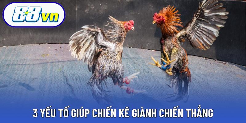 3 yếu tố giúp chiến kê giành chiến thắng