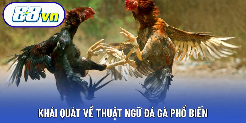 Khái quát về thuật ngữ đá gà phổ biến