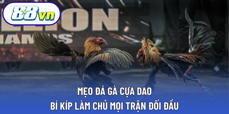 Mẹo Đá Gà Cựa Dao