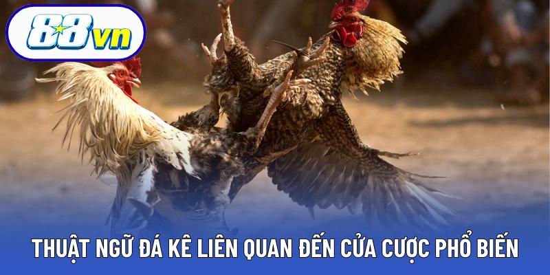 Thuật ngữ đá kê liên quan đến cửa cược phổ biến