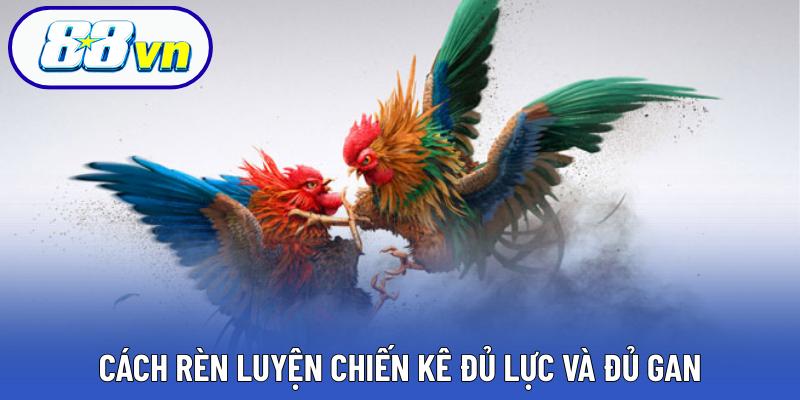 Cách rèn luyện chiến kê đủ lực và đủ gan