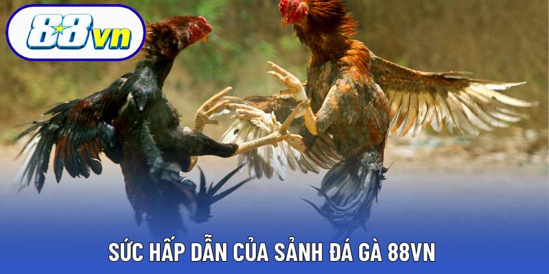 Sức hấp dẫn của sảnh đá gà 88VN