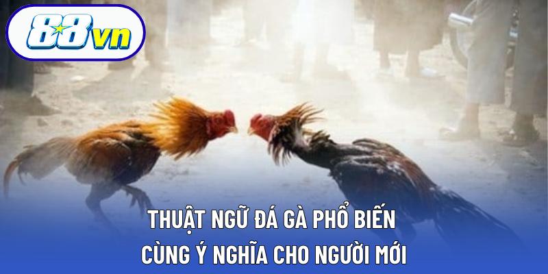 Thuật Ngữ Đá Gà Phổ Biến