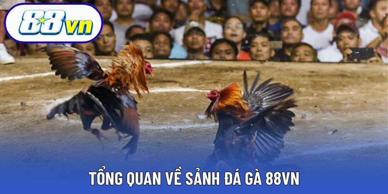 Tổng quan về sảnh đá gà 88VN